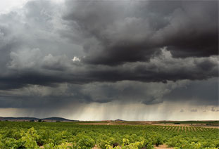 Resum de precipitacions